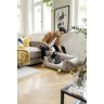 Пылесос KARCHER VC 4 CORDLESS MYHOME PET 1.198-633